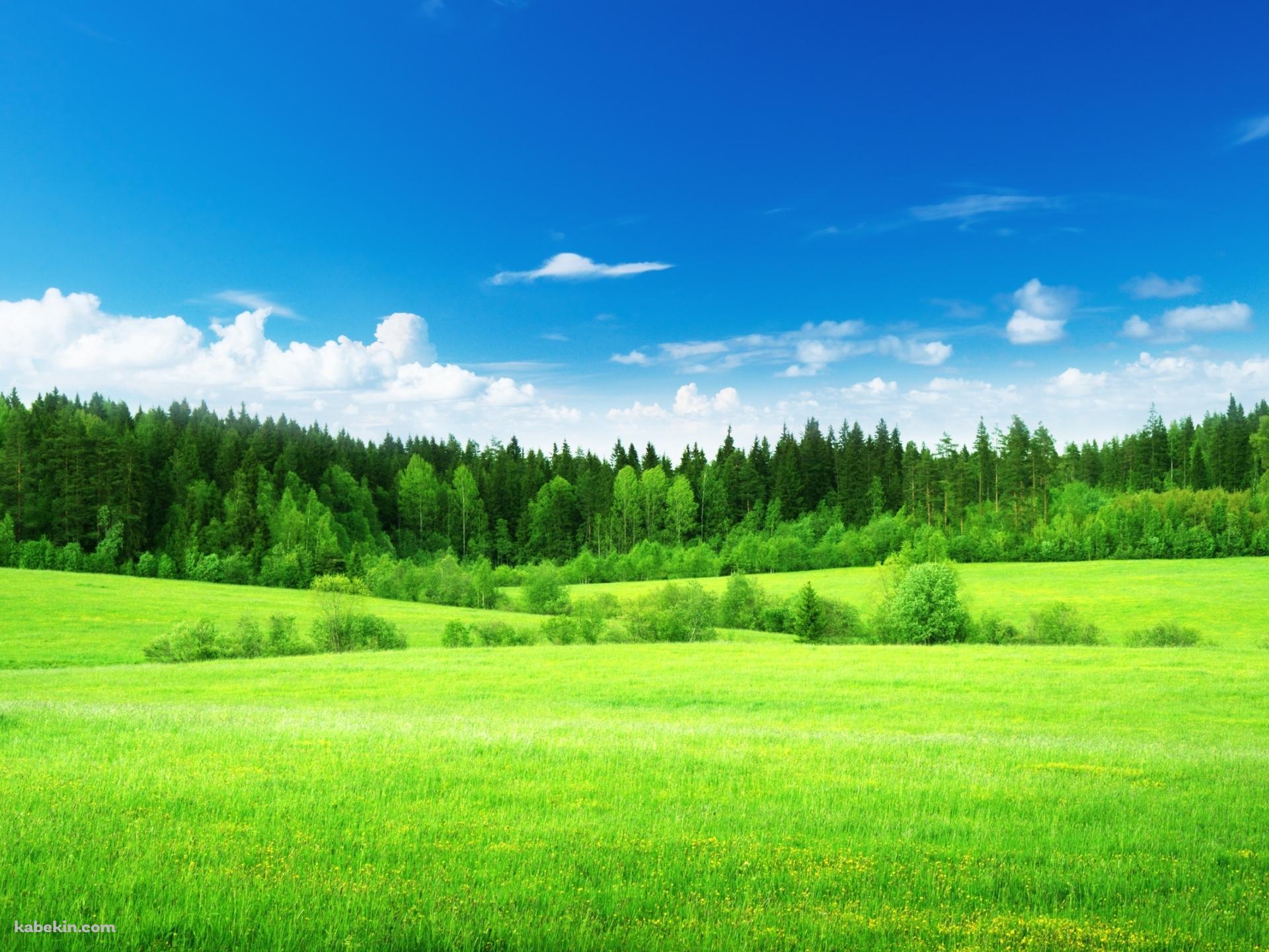 緑の草原と青い空の壁紙(1920px x 1440px) 高画質 PC・デスクトップ用