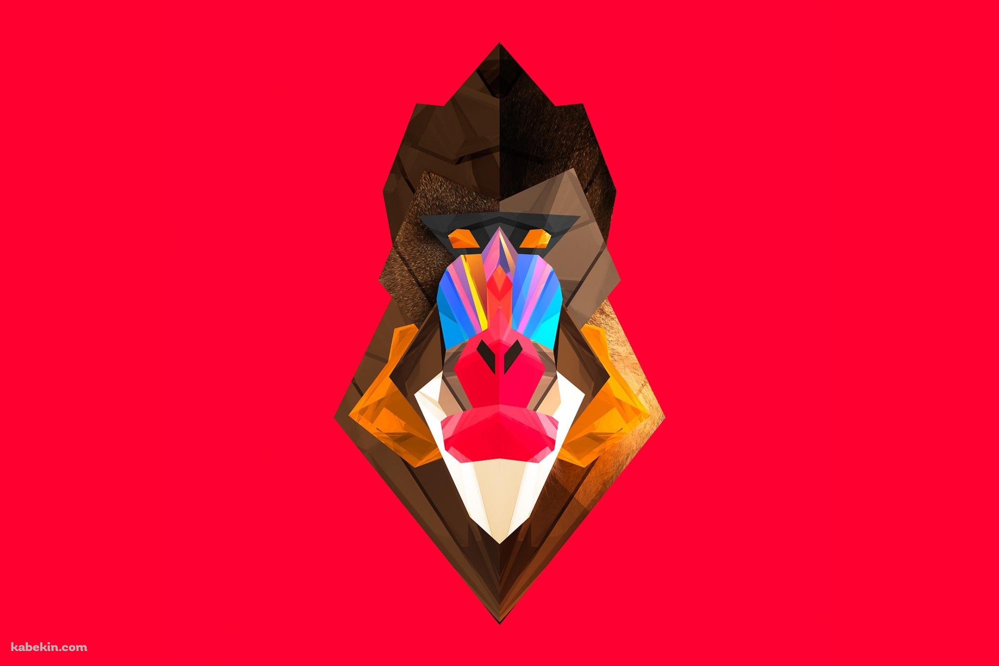 マンドリルの壁紙(2000px x 1333px) 高画質 PC・デスクトップ用
