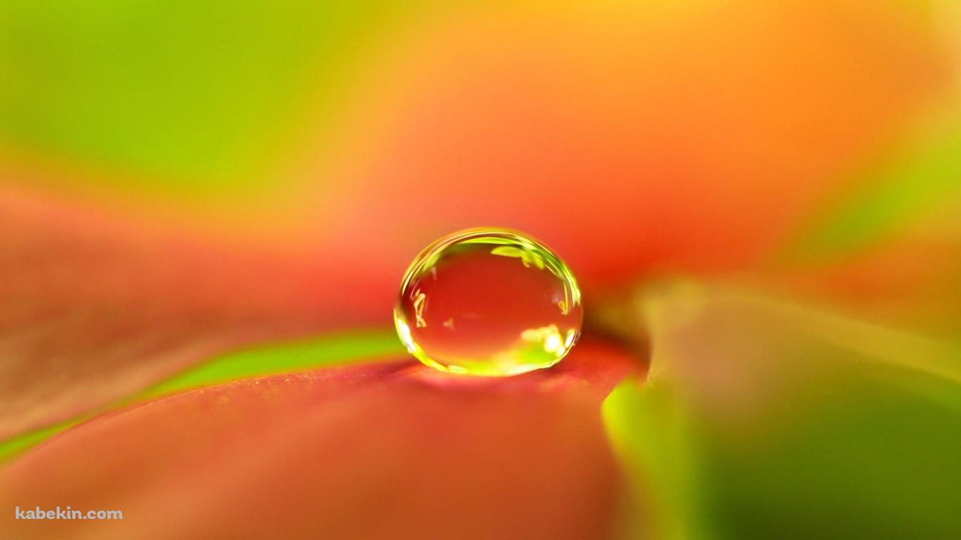 オレンジの水滴の壁紙(1366px x 768px) 高画質 PC・デスクトップ用
