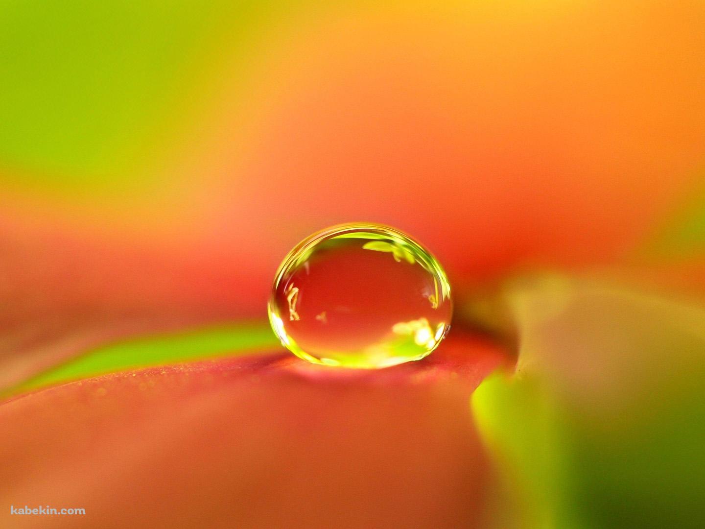オレンジの水滴の壁紙(1440px x 1080px) 高画質 PC・デスクトップ用