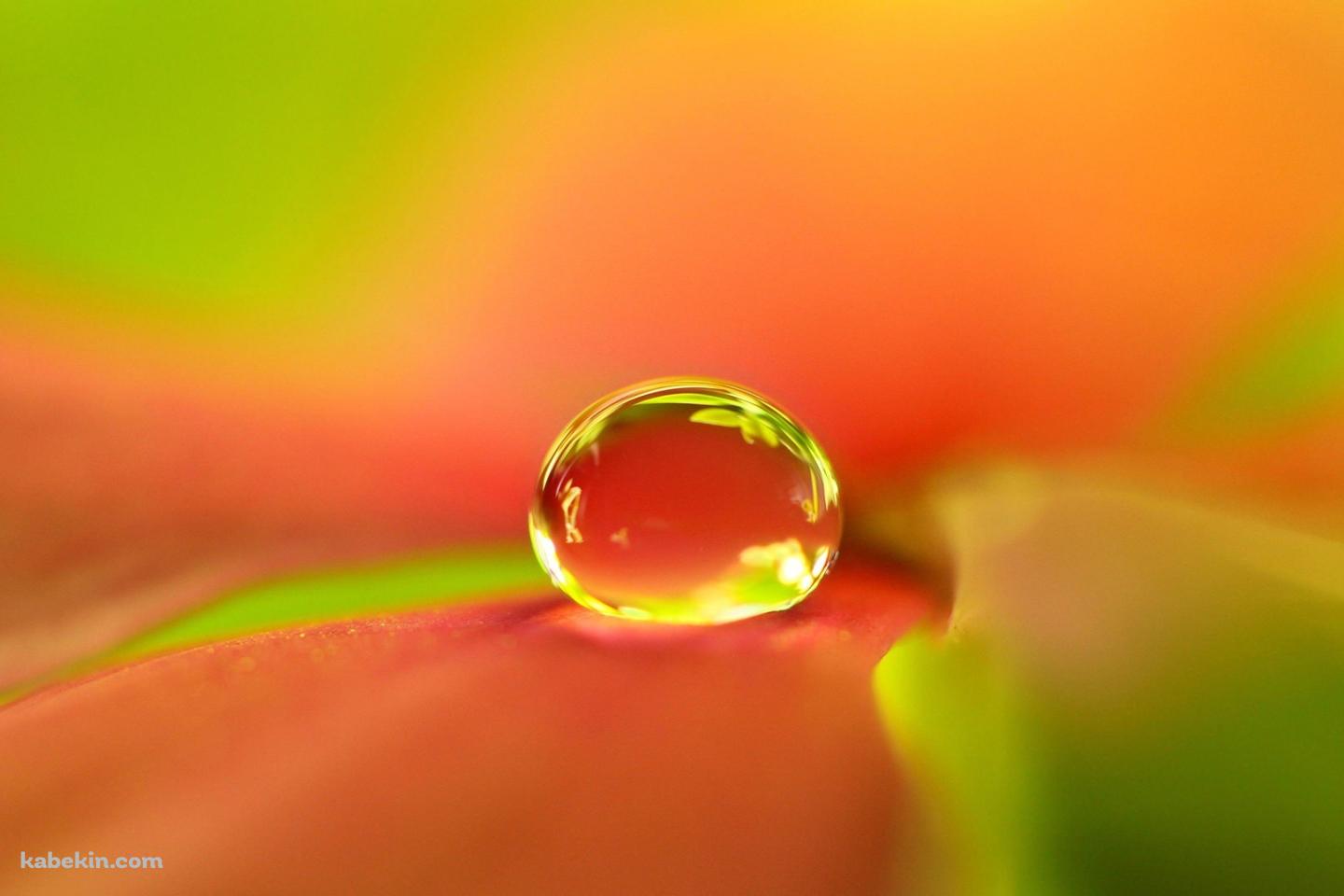 オレンジの水滴の壁紙(1440px x 960px) 高画質 PC・デスクトップ用