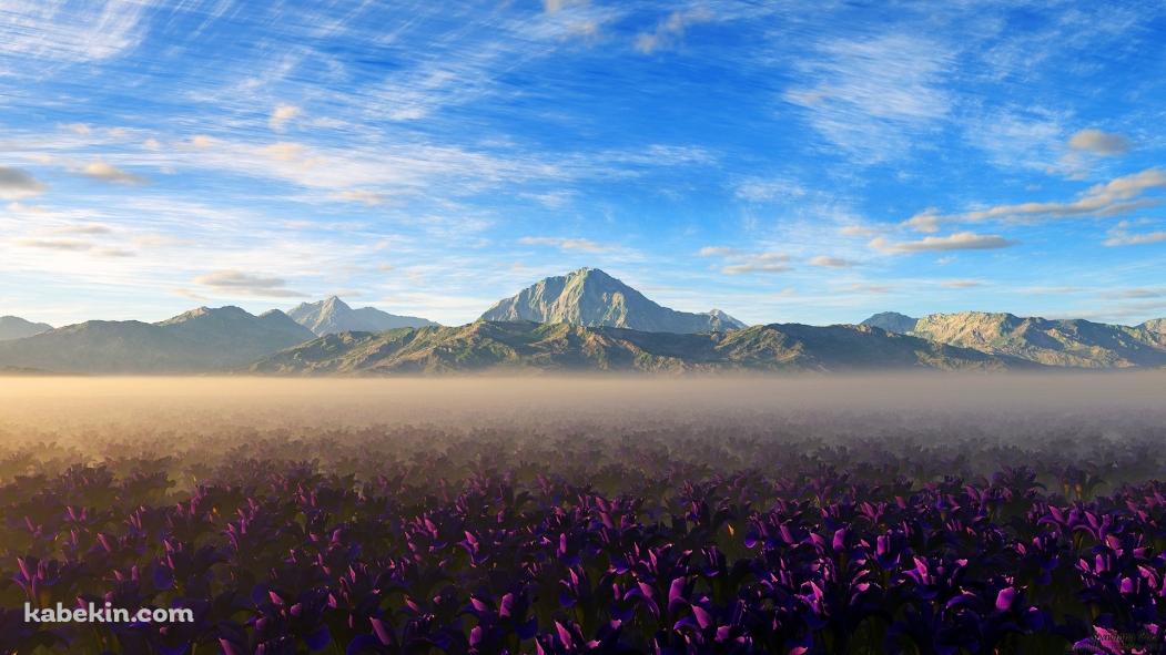 山脈と紫の花畑の壁紙(1051px x 591px) 高画質 PC・デスクトップ用