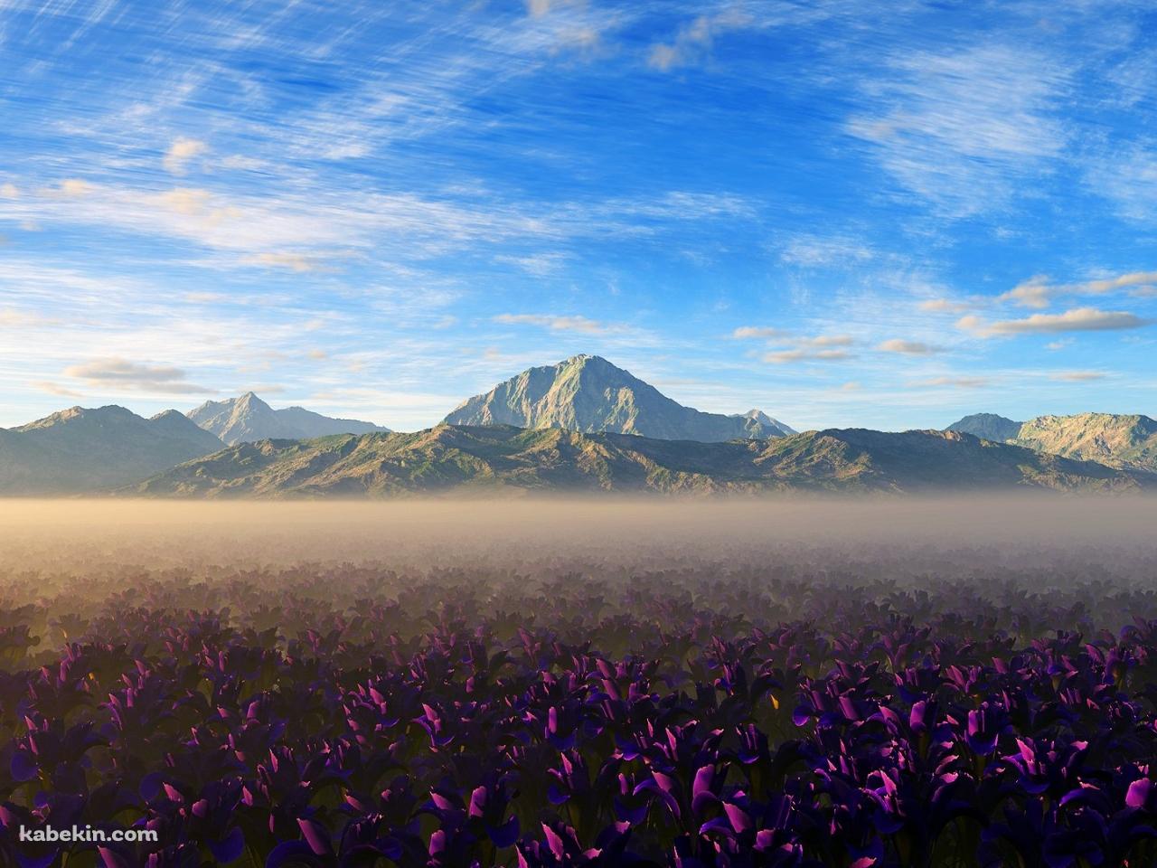山脈と紫の花畑の壁紙(1280px x 960px) 高画質 PC・デスクトップ用