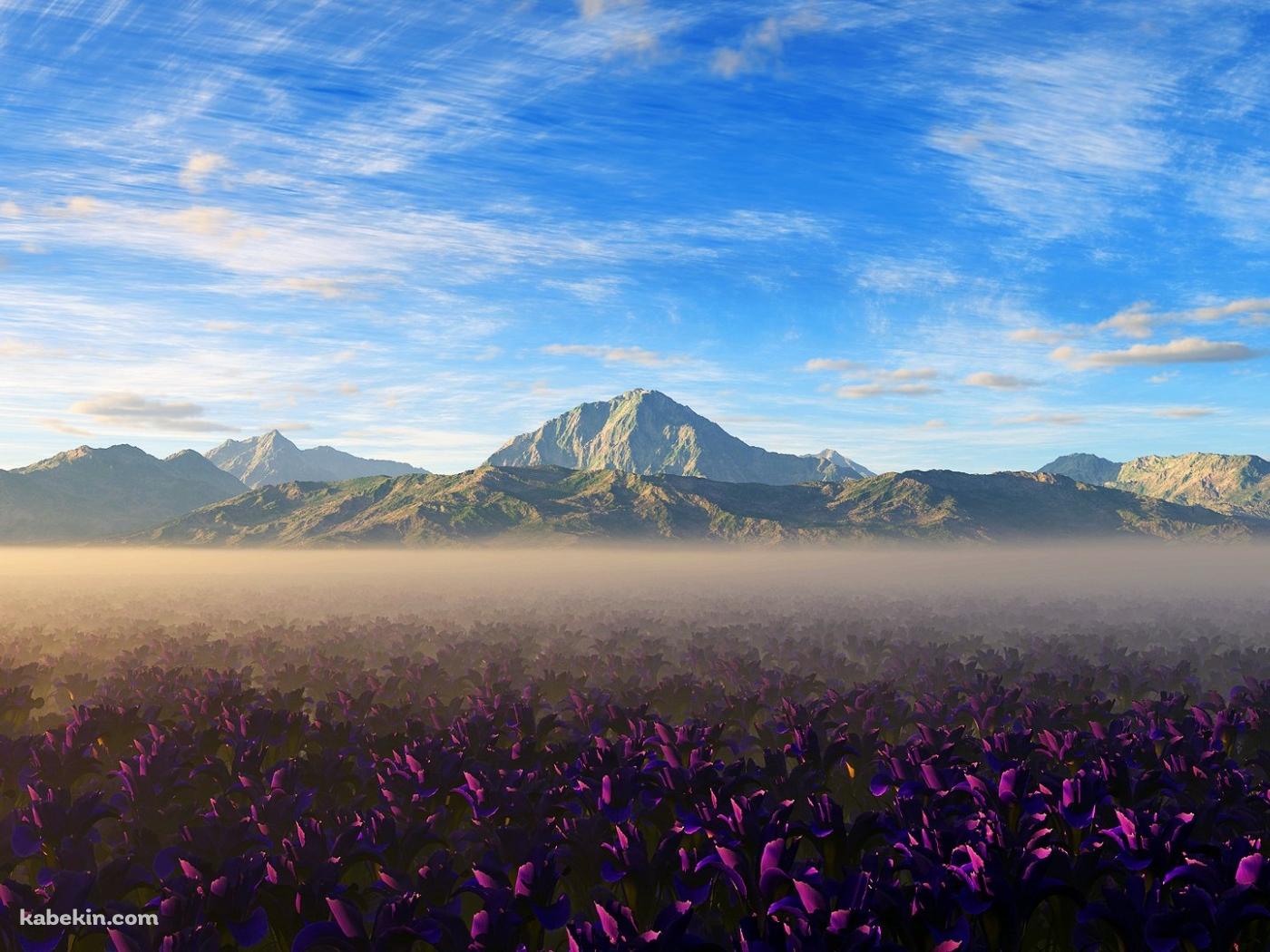 山脈と紫の花畑の壁紙(1400px x 1050px) 高画質 PC・デスクトップ用
