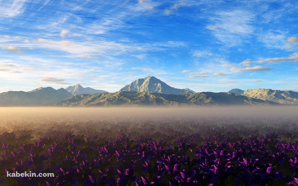 山脈と紫の花畑の壁紙(960px x 600px) 高画質 PC・デスクトップ用
