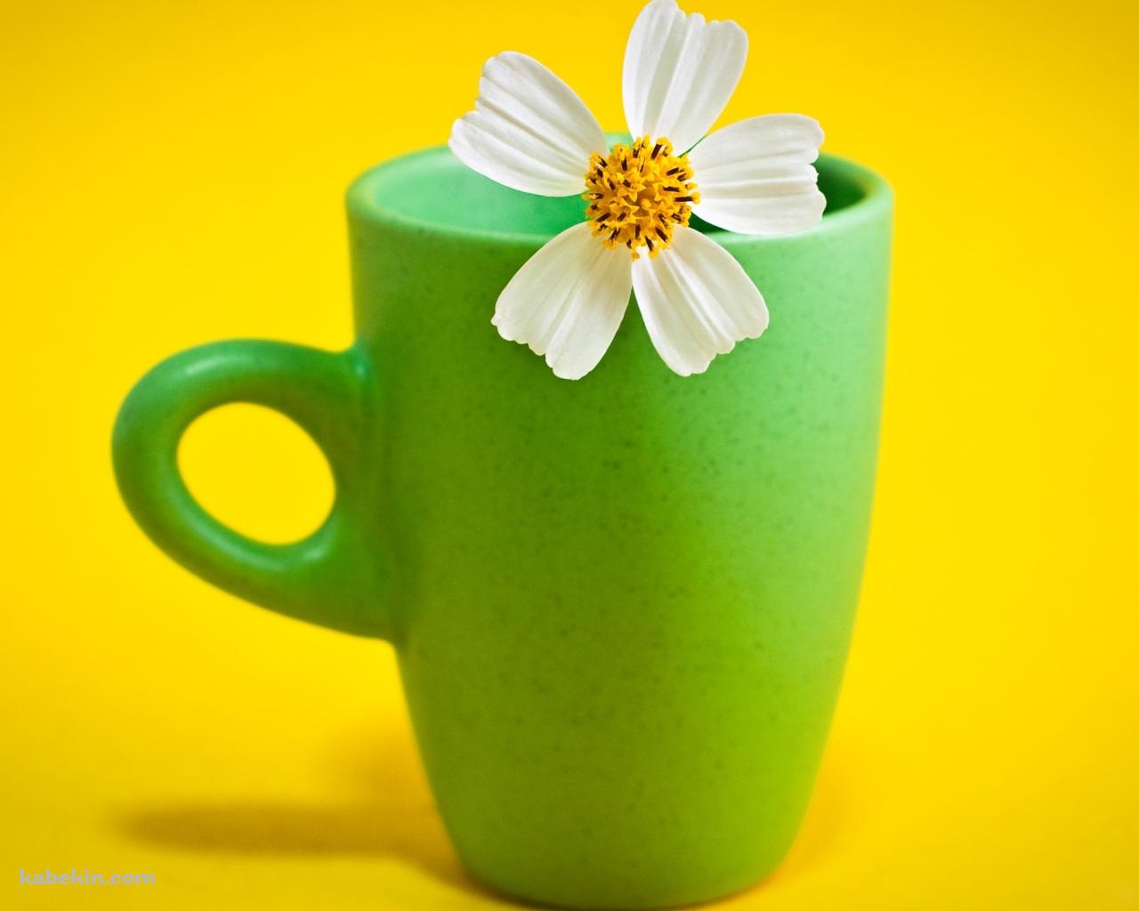 マグカップに入った花の壁紙(1280px x 1024px) 高画質 PC・デスクトップ用