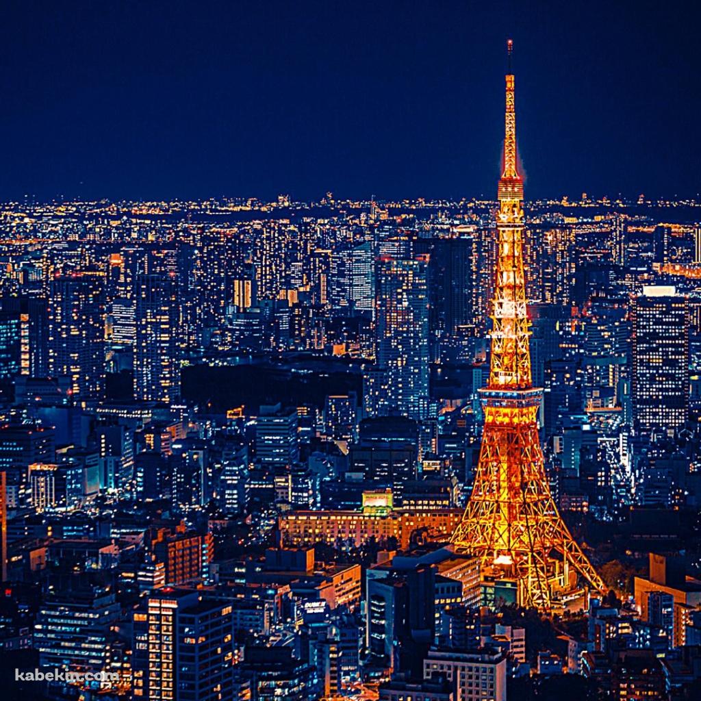ライトアップされた夜の東京タワーの壁紙(1024px x 1024px) 高画質 PC・デスクトップ用