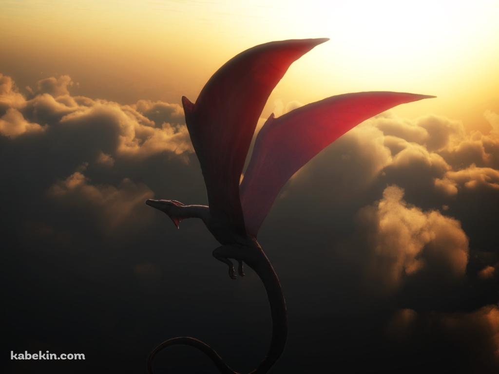 空飛ぶレッドワイバーンの壁紙(1024px x 768px) 高画質 PC・デスクトップ用