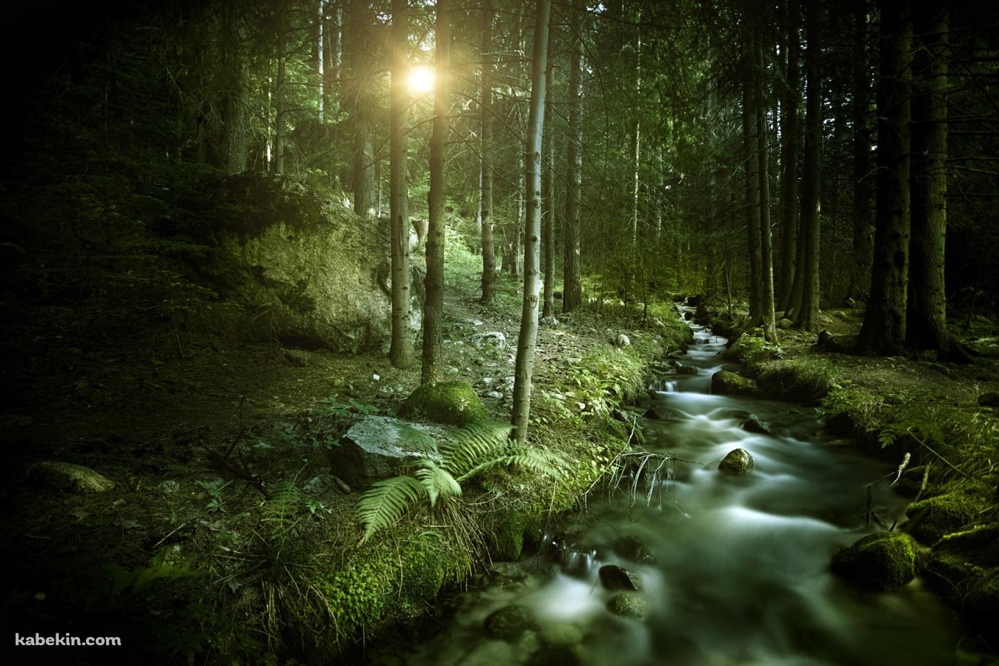 ライトアップされた山の林道の壁紙(1440px x 960px) 高画質 PC・デスクトップ用