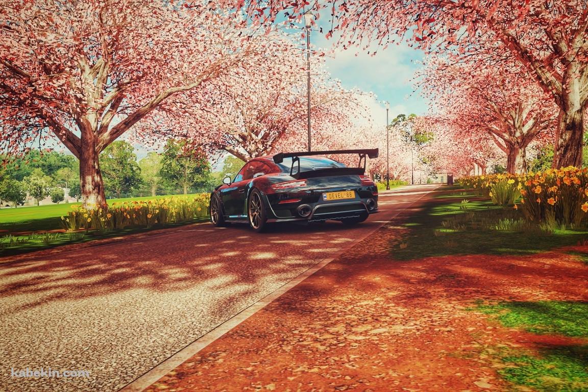 桜の木 黒のスポーツカーの壁紙(1152px x 768px) 高画質 PC・デスクトップ用