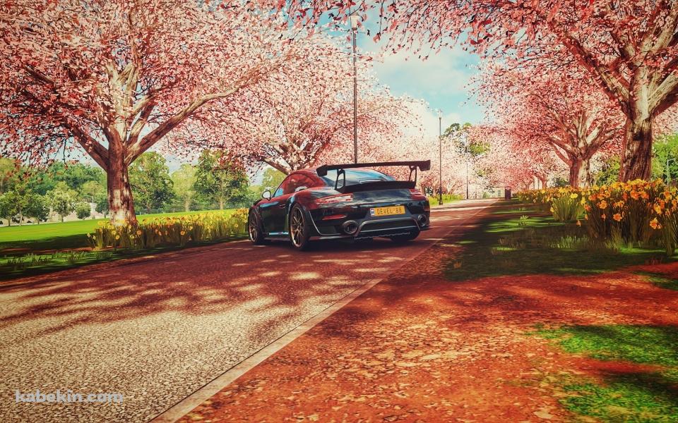 桜の木 黒のスポーツカーの壁紙(960px x 600px) 高画質 PC・デスクトップ用