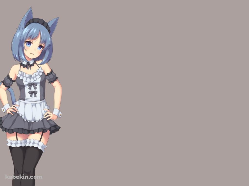 青い猫耳のメイドの壁紙(1024px x 768px) 高画質 PC・デスクトップ用