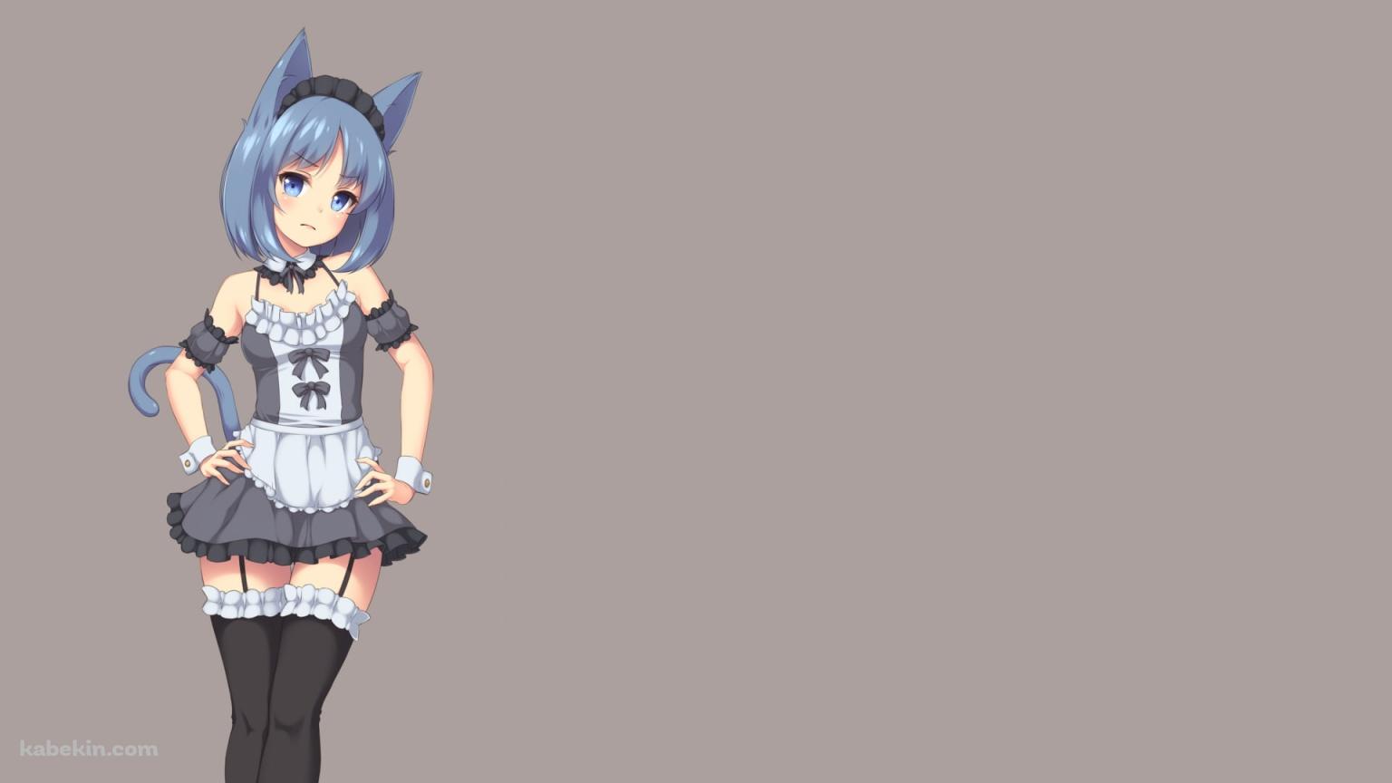 青い猫耳のメイドの壁紙(1536px x 864px) 高画質 PC・デスクトップ用