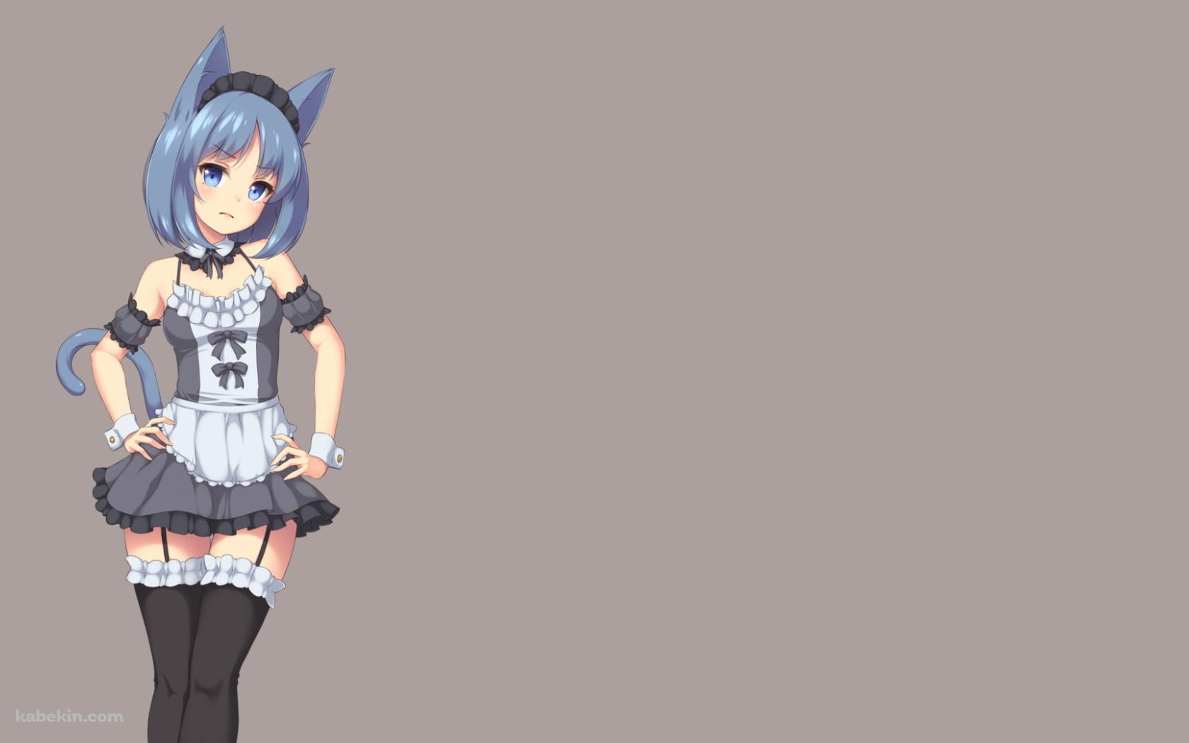 青い猫耳のメイドの壁紙(1680px x 1050px) 高画質 PC・デスクトップ用