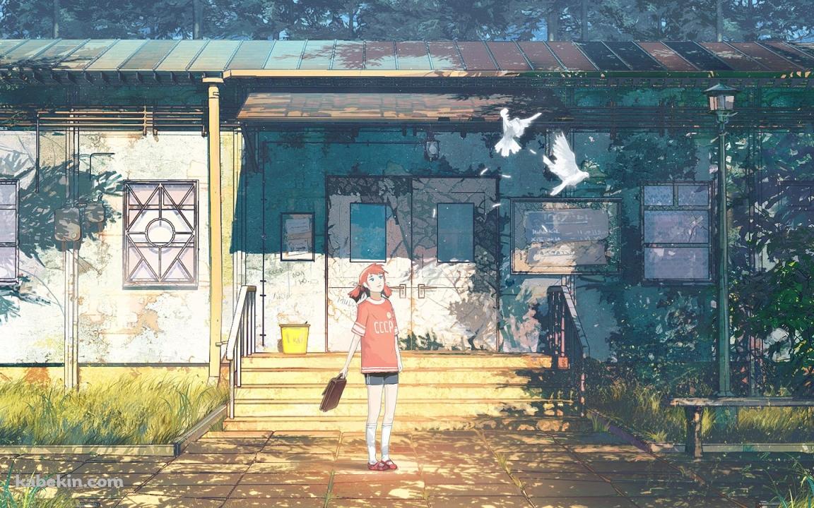 白い鳩と女の子の壁紙(1152px x 720px) 高画質 PC・デスクトップ用