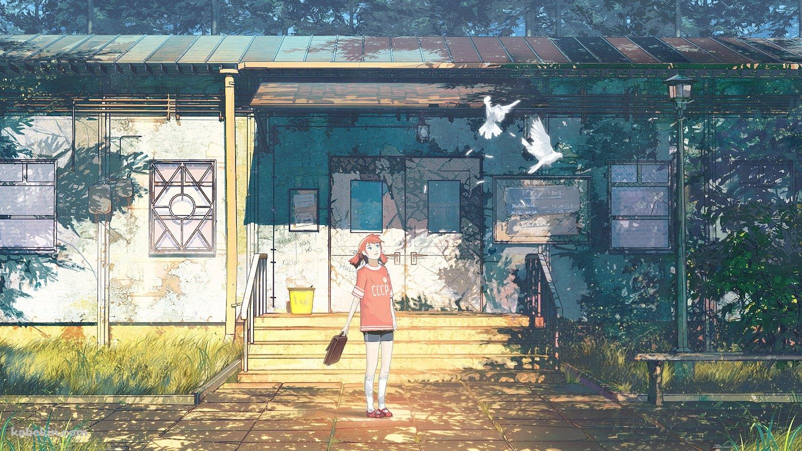 白い鳩と女の子の壁紙(1600px x 900px) 高画質 PC・デスクトップ用
