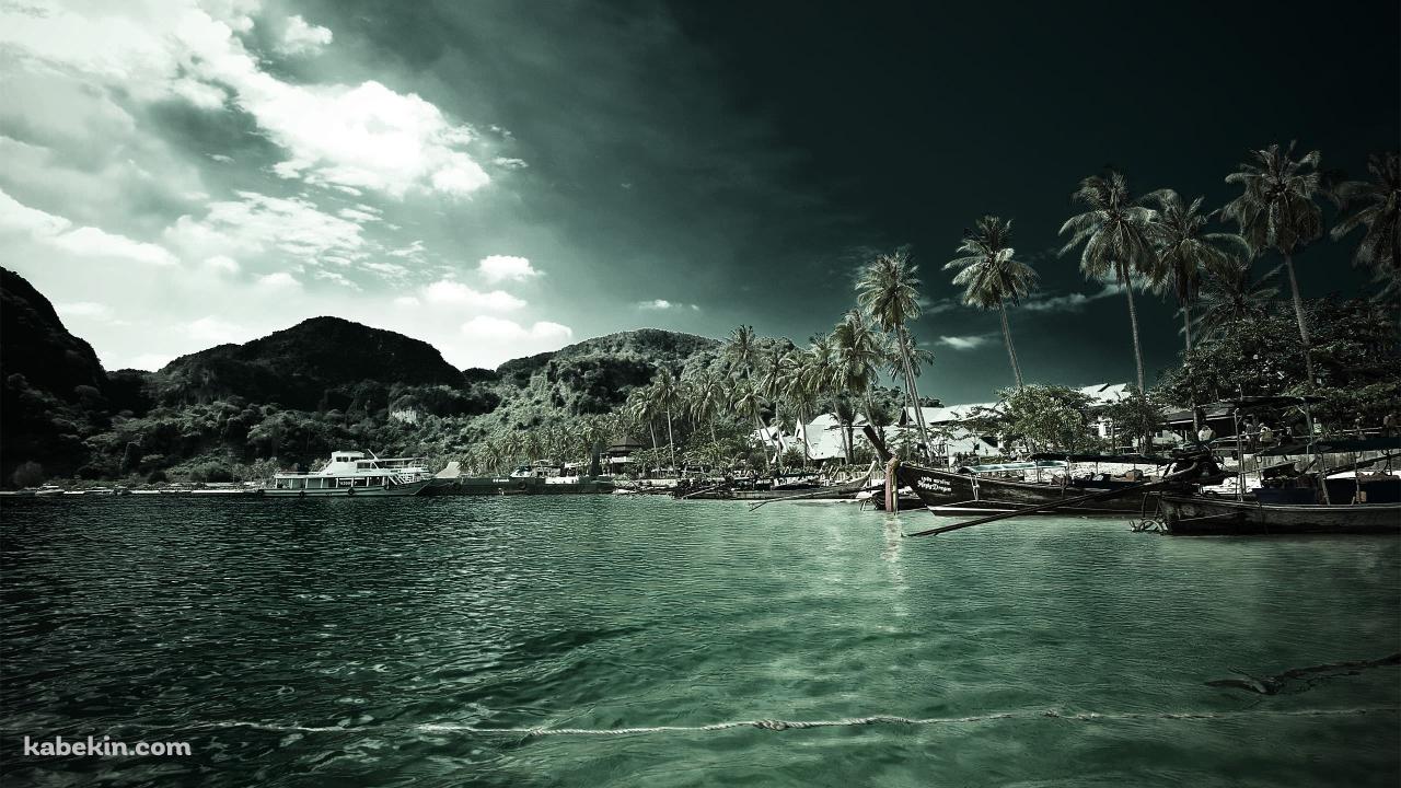 深緑の海の壁紙(1280px x 720px) 高画質 PC・デスクトップ用