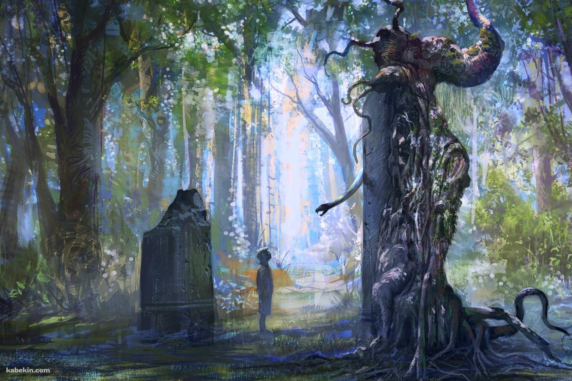 森の奥での壁紙(2000px x 1333px) 高画質 PC・デスクトップ用