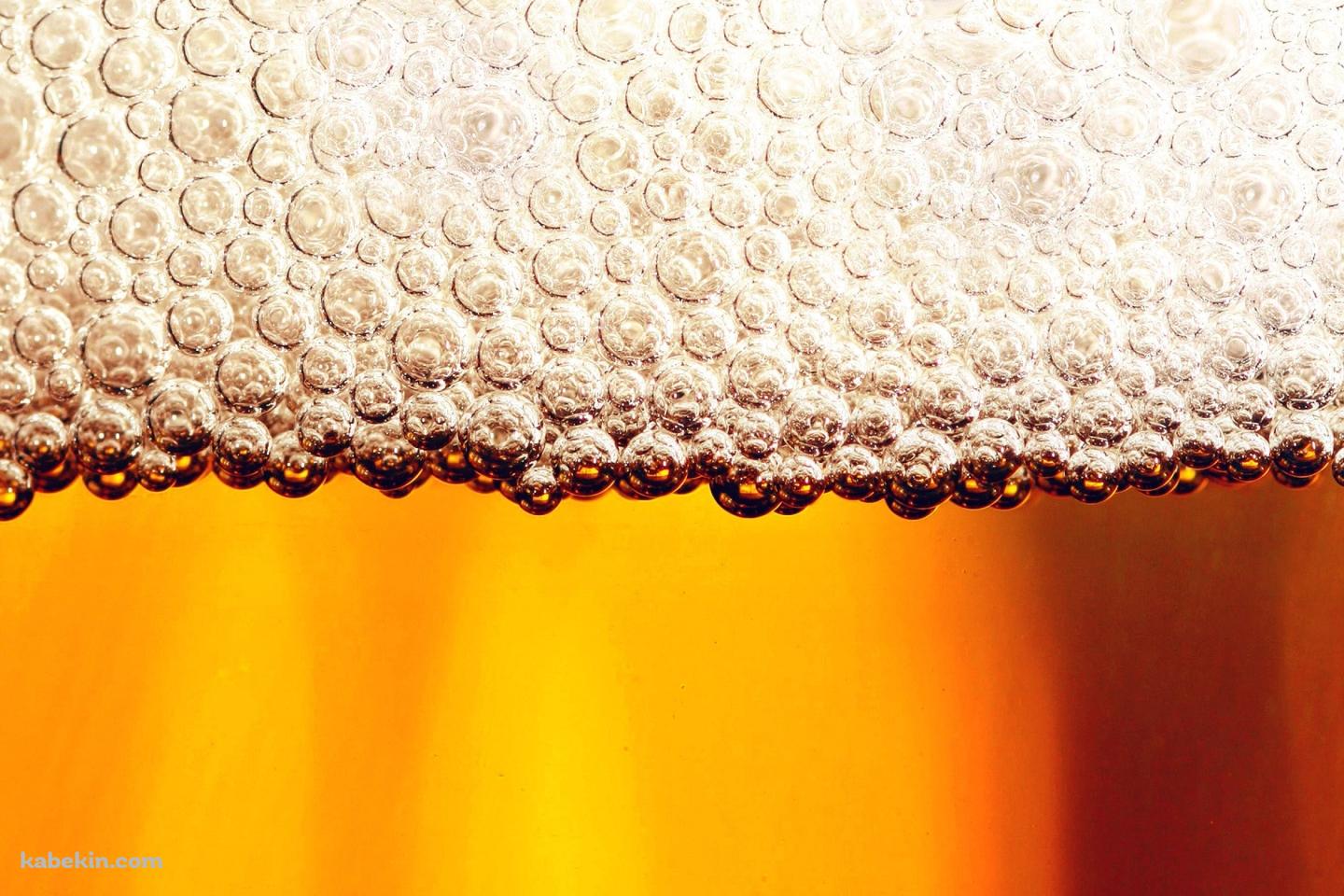 ビール一杯のの泡の壁紙(1440px x 960px) 高画質 PC・デスクトップ用