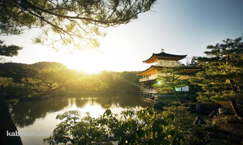 京都 金閣寺 鹿苑寺の壁紙(800px x 480px) 高画質 PC・デスクトップ用