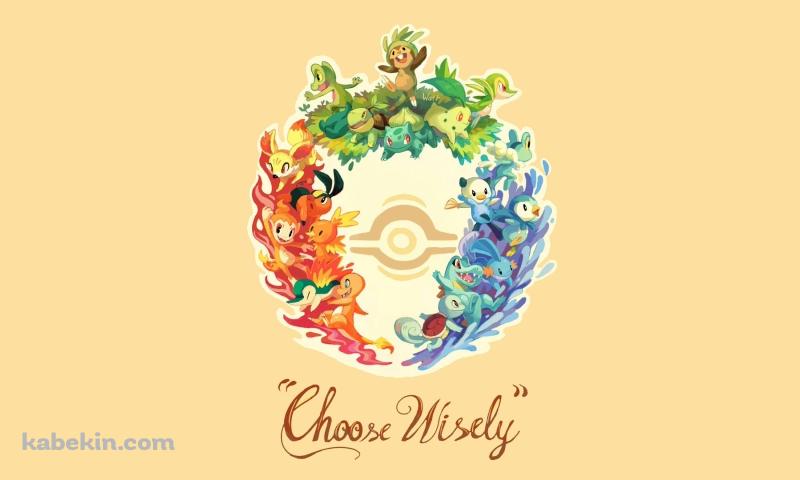 ポケモン Choose Wiselyの壁紙(800px x 480px) 高画質 PC・デスクトップ用