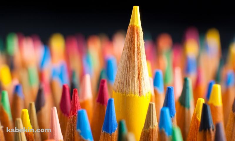 カラフルな色鉛筆の壁紙(800px x 480px) 高画質 PC・デスクトップ用
