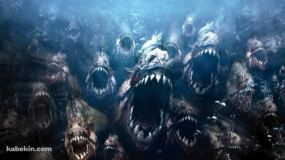 ピラニアの群れの壁紙(960px x 540px) 高画質 PC・デスクトップ用