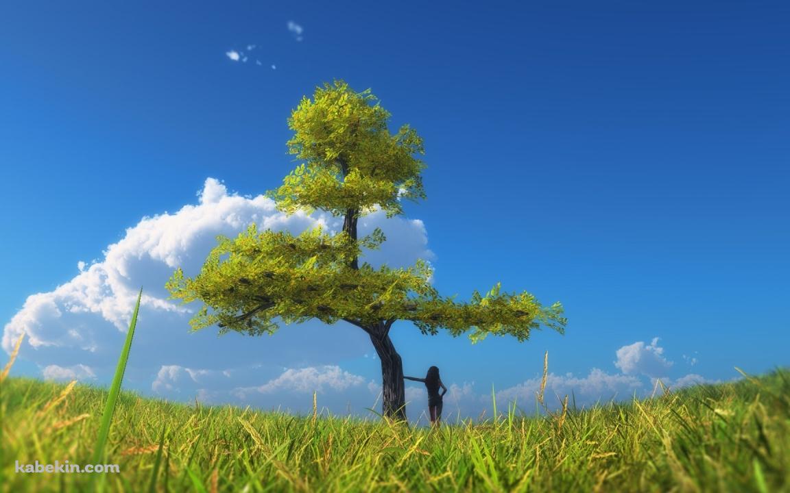 大木 青空 草原の壁紙(1152px x 720px) 高画質 PC・デスクトップ用