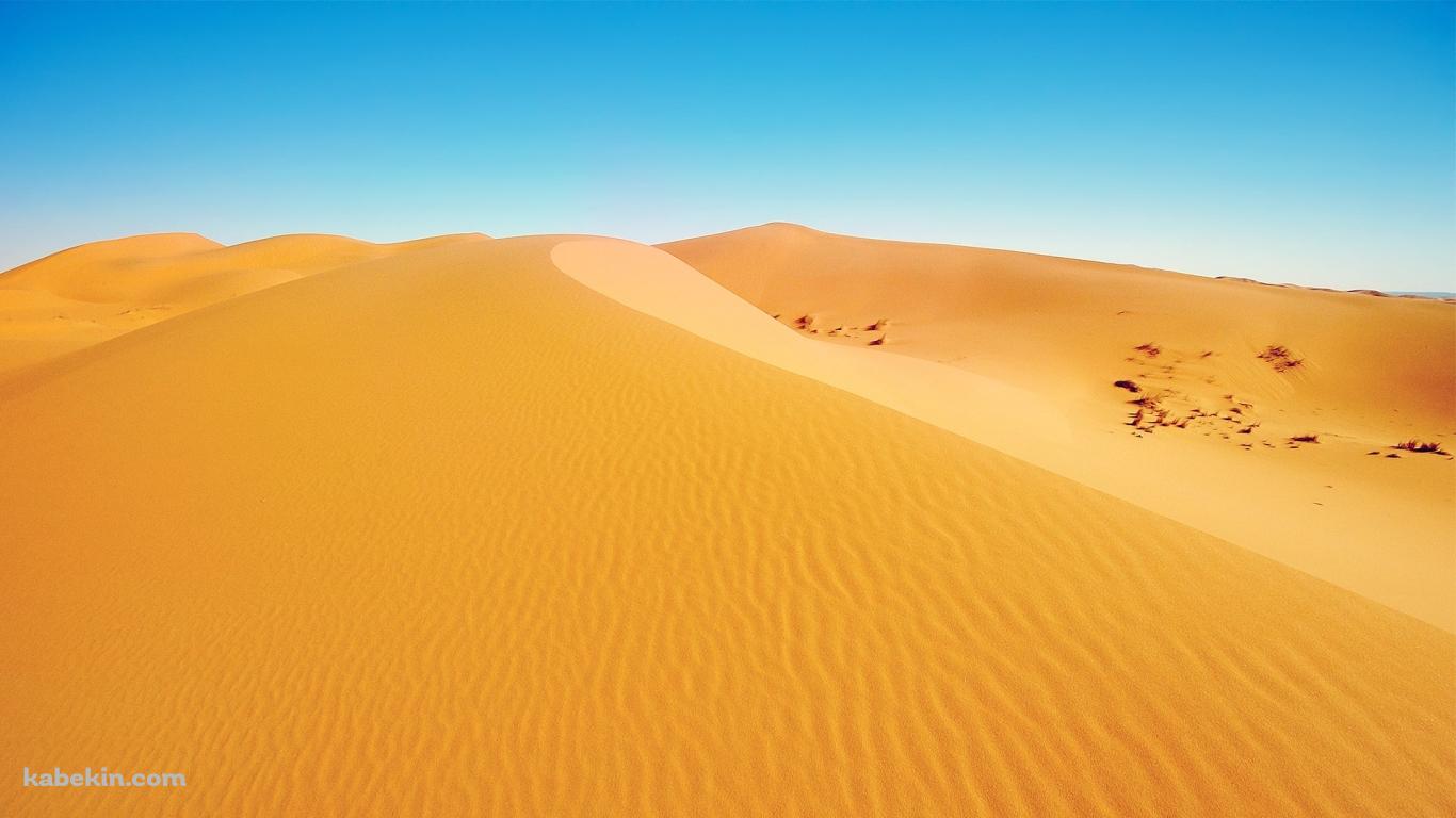アフリカの砂漠の壁紙(1366px x 768px) 高画質 PC・デスクトップ用