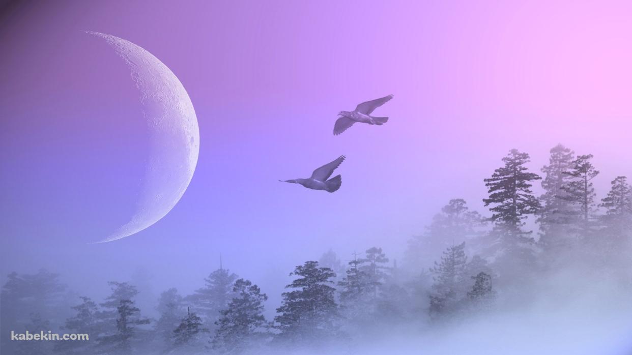 渡り鳥と月の壁紙(1242px x 698px) 高画質 PC・デスクトップ用