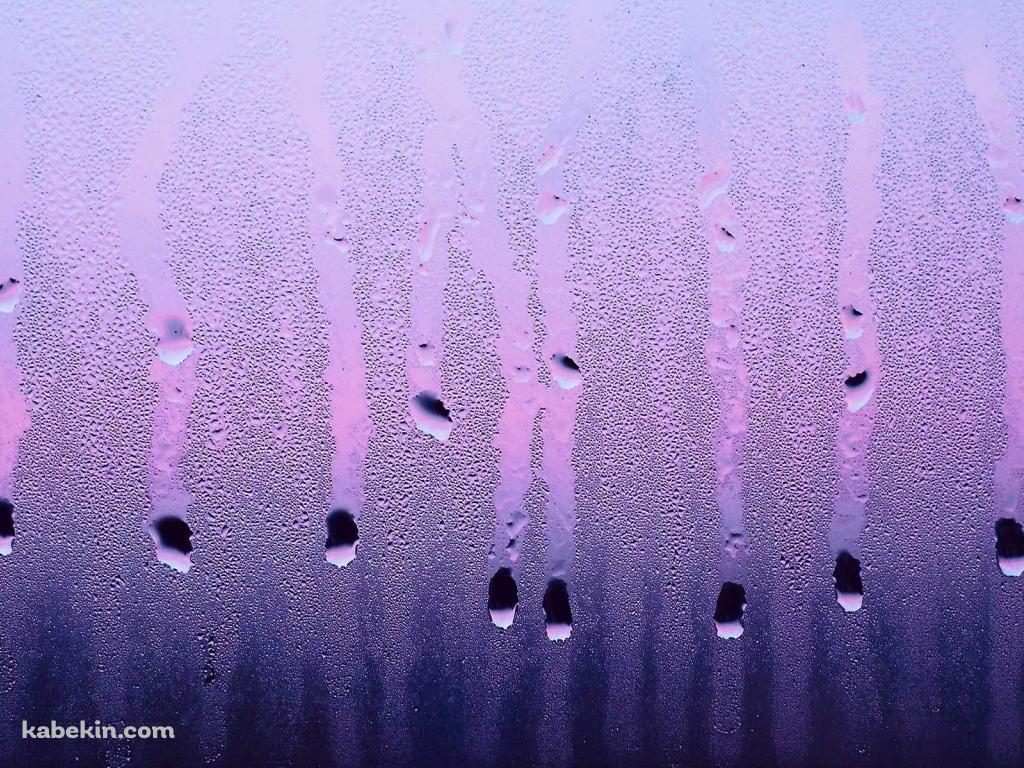 水滴のついた紫のガラスの壁紙(1024px x 768px) 高画質 PC・デスクトップ用