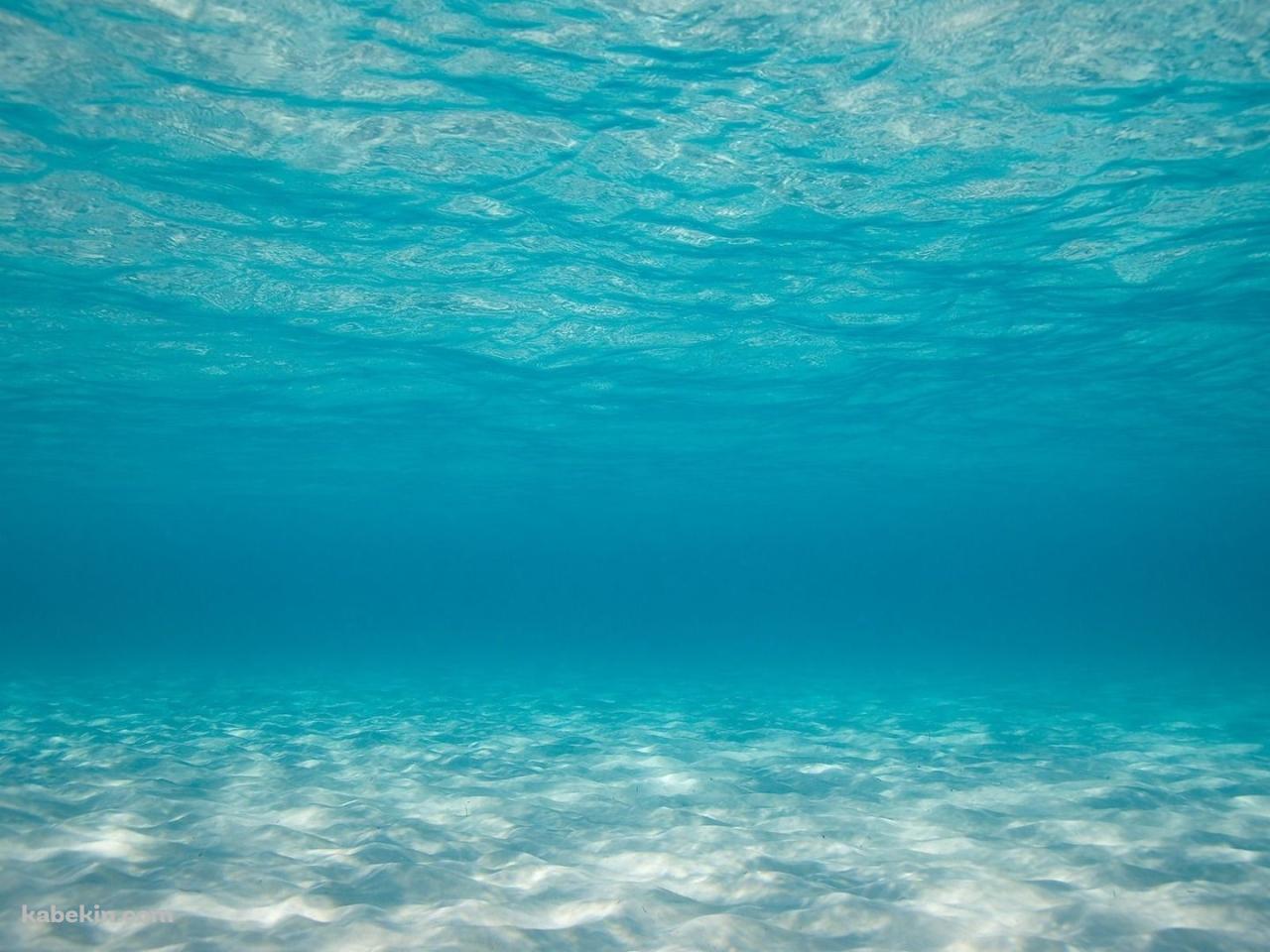 海の中 SEAの壁紙(1280px x 960px) 高画質 PC・デスクトップ用