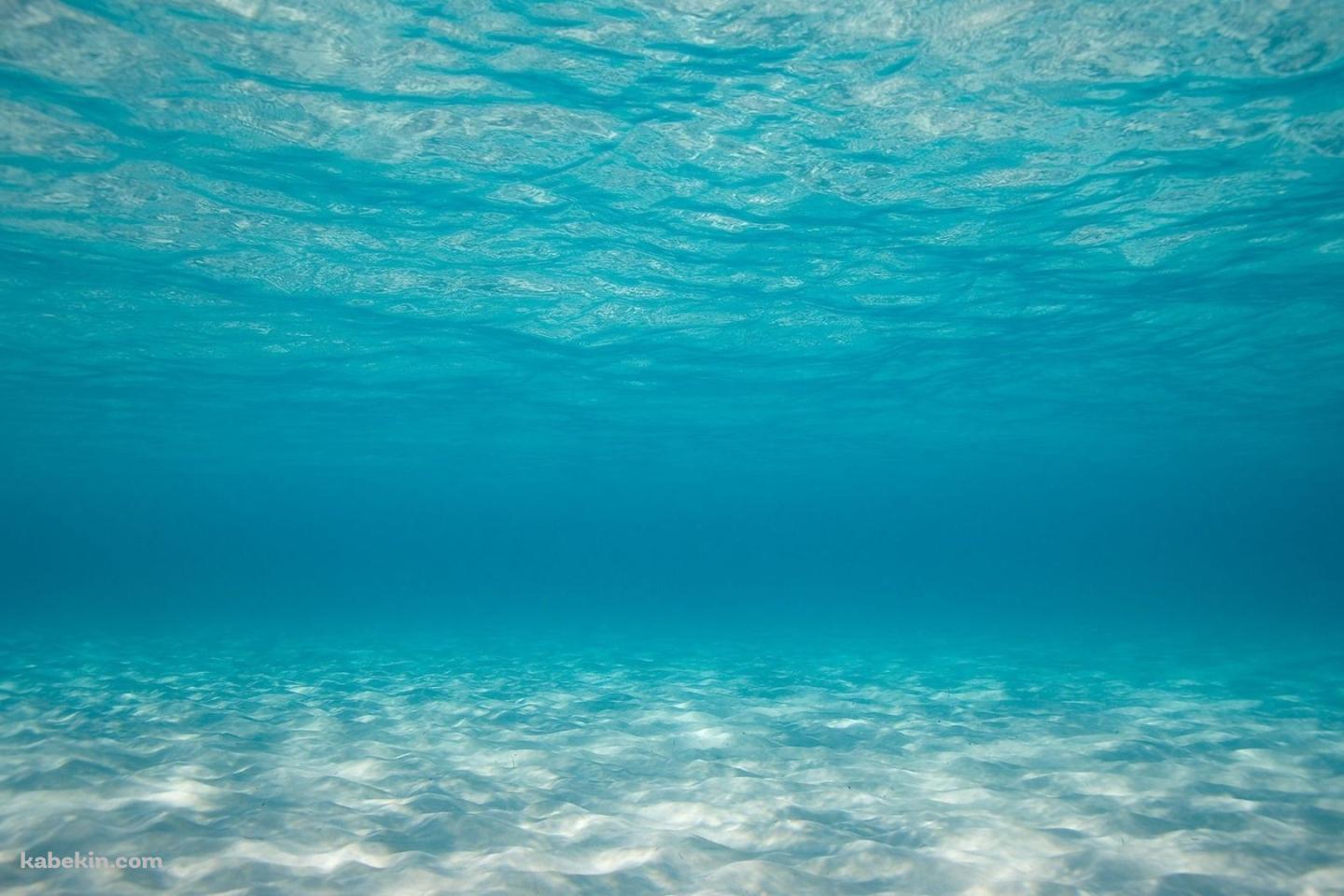 海の中 SEAの壁紙(1440px x 960px) 高画質 PC・デスクトップ用