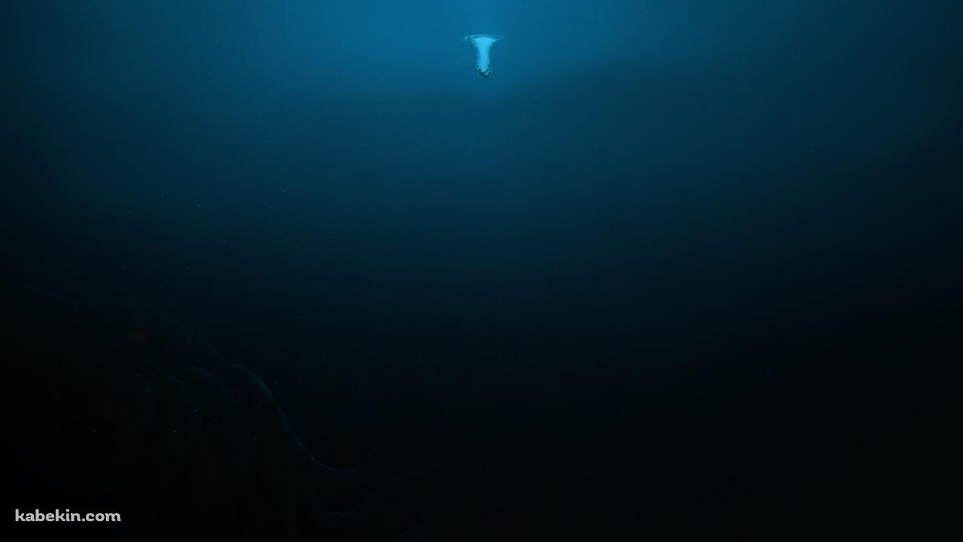 大きなタコと溺れる人の壁紙(1391px x 783px) 高画質 PC・デスクトップ用