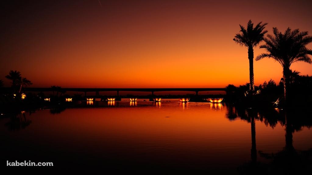 夕暮れ オレンジに染まる南国の景色の壁紙(1024px x 576px) 高画質 PC・デスクトップ用