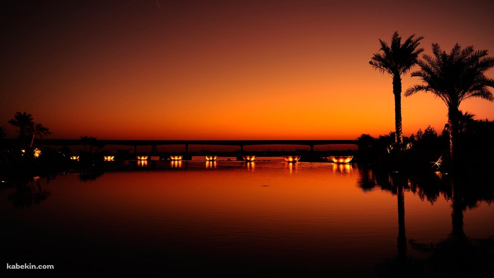 夕暮れ オレンジに染まる南国の景色の壁紙(1600px x 900px) 高画質 PC・デスクトップ用