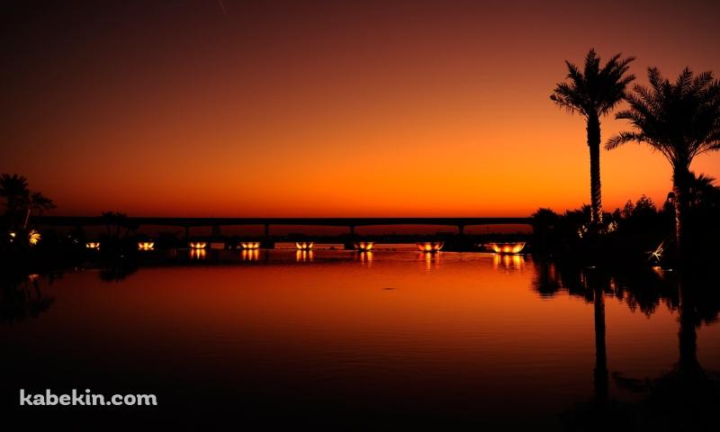 夕暮れ オレンジに染まる南国の景色の壁紙(800px x 480px) 高画質 PC・デスクトップ用