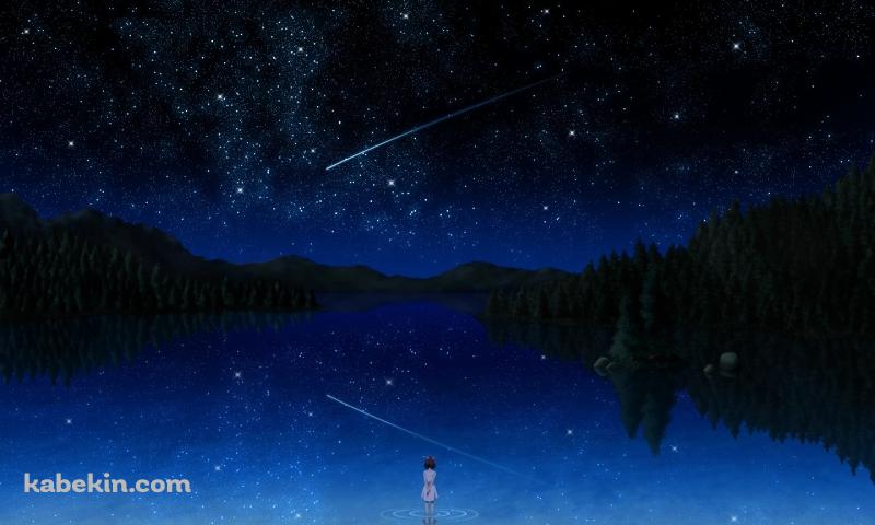 セントレイの壁紙(800px x 480px) 高画質 PC・デスクトップ用