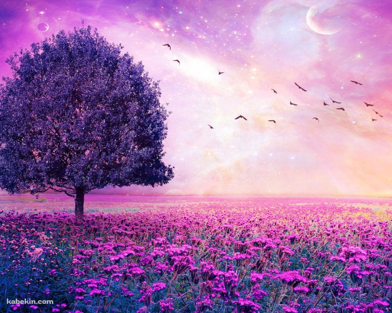 Beautiful Worldの壁紙(1280px x 1024px) 高画質 PC・デスクトップ用