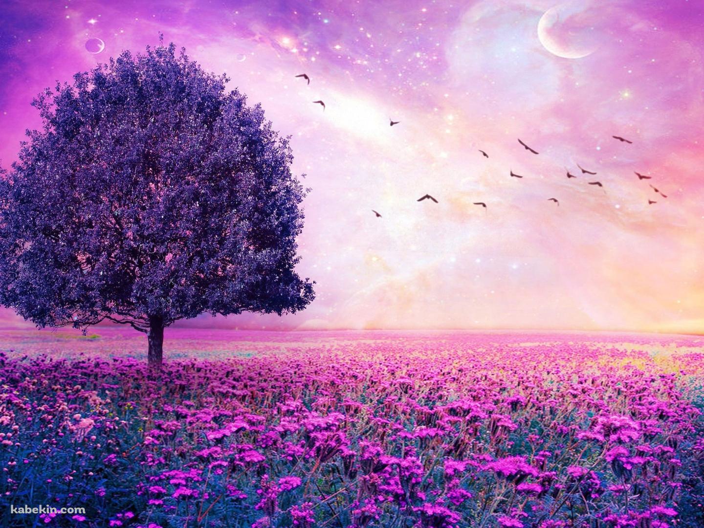 Beautiful Worldの壁紙(1440px x 1080px) 高画質 PC・デスクトップ用
