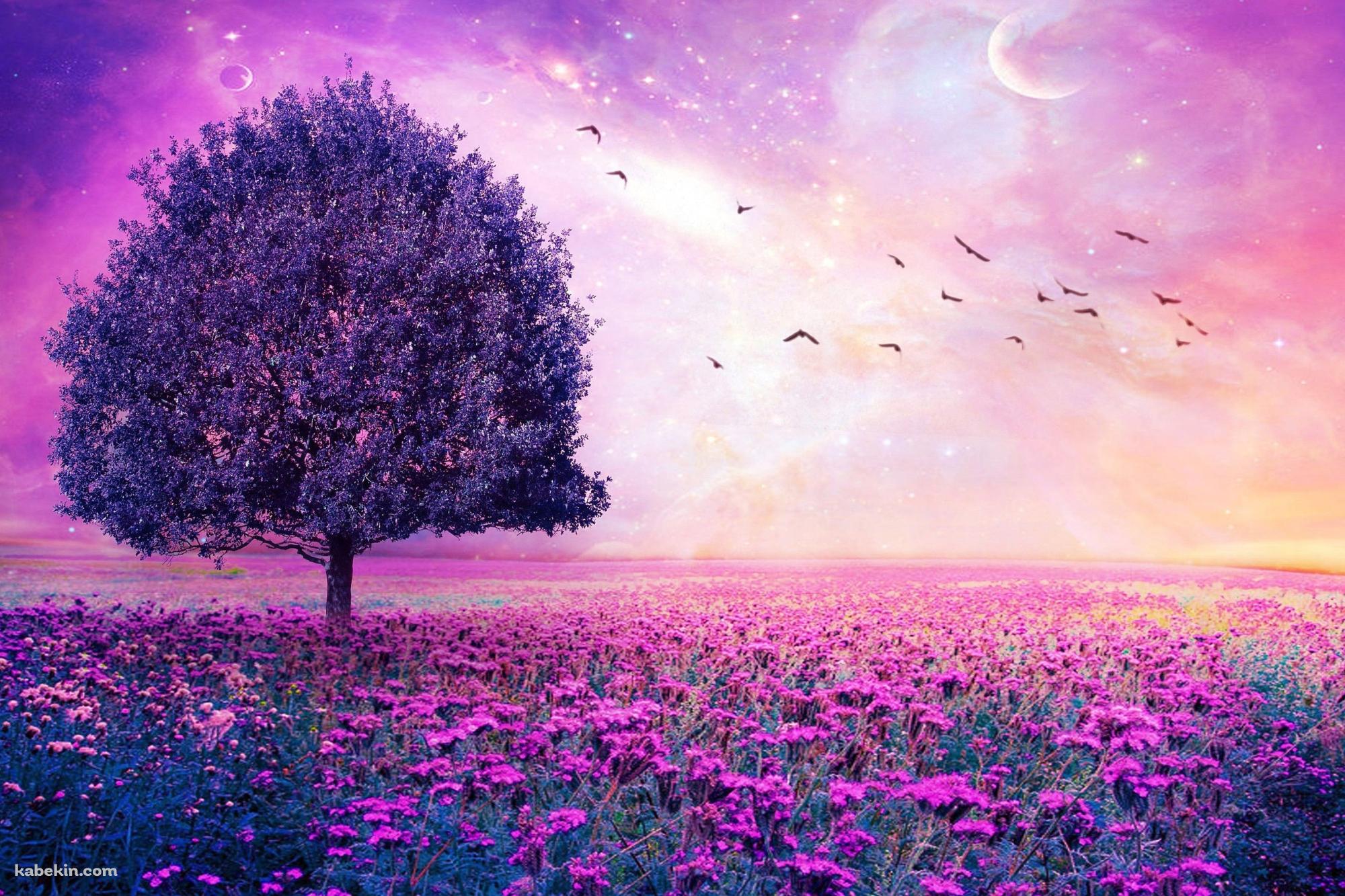 Beautiful Worldの壁紙(2000px x 1333px) 高画質 PC・デスクトップ用