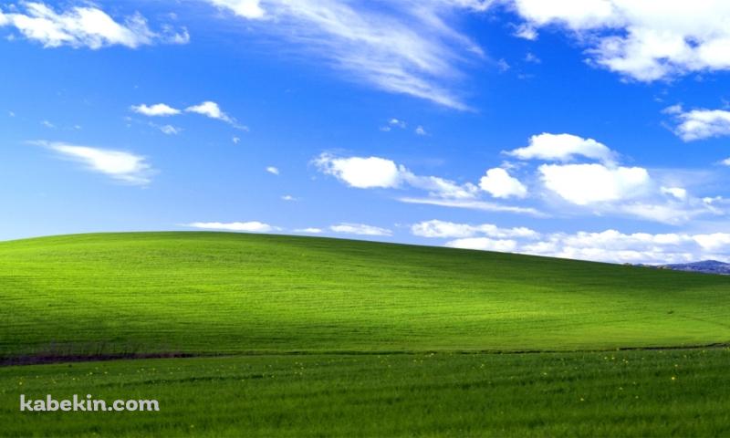 Windowsの丘の壁紙(800px x 480px) 高画質 PC・デスクトップ用