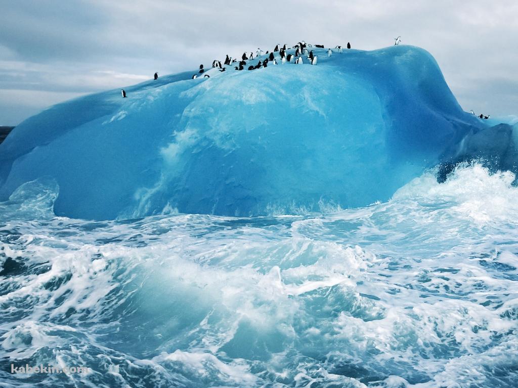 氷とペンギンの壁紙(1024px x 768px) 高画質 PC・デスクトップ用