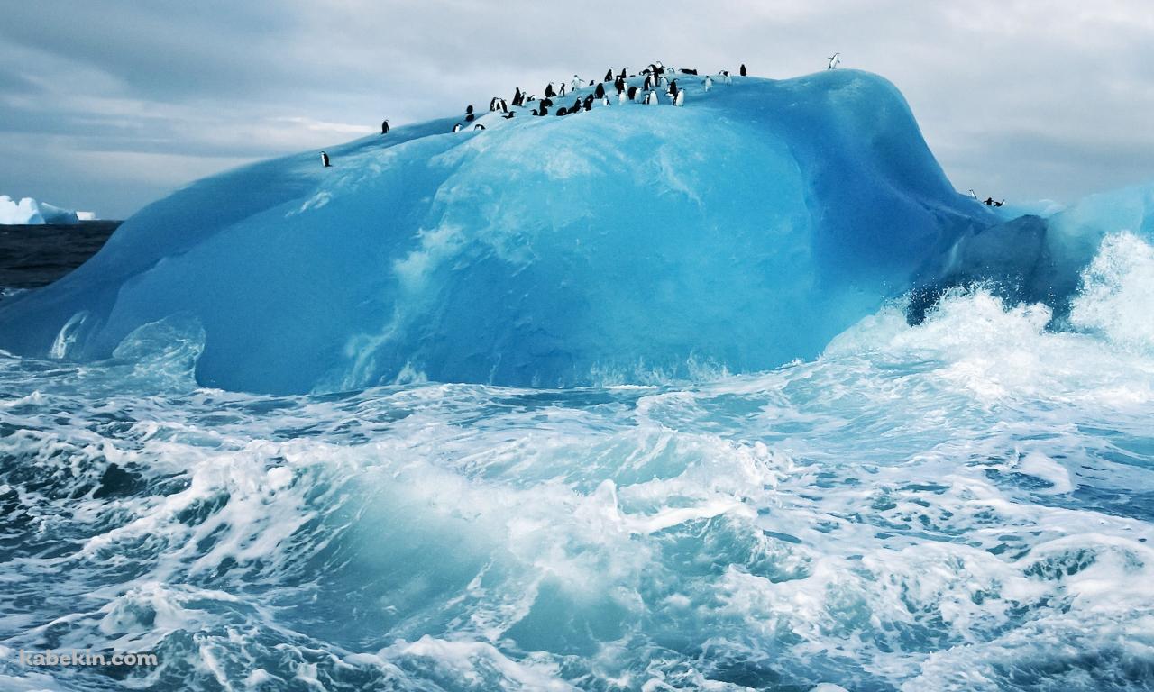 氷とペンギンの壁紙(1280px x 768px) 高画質 PC・デスクトップ用