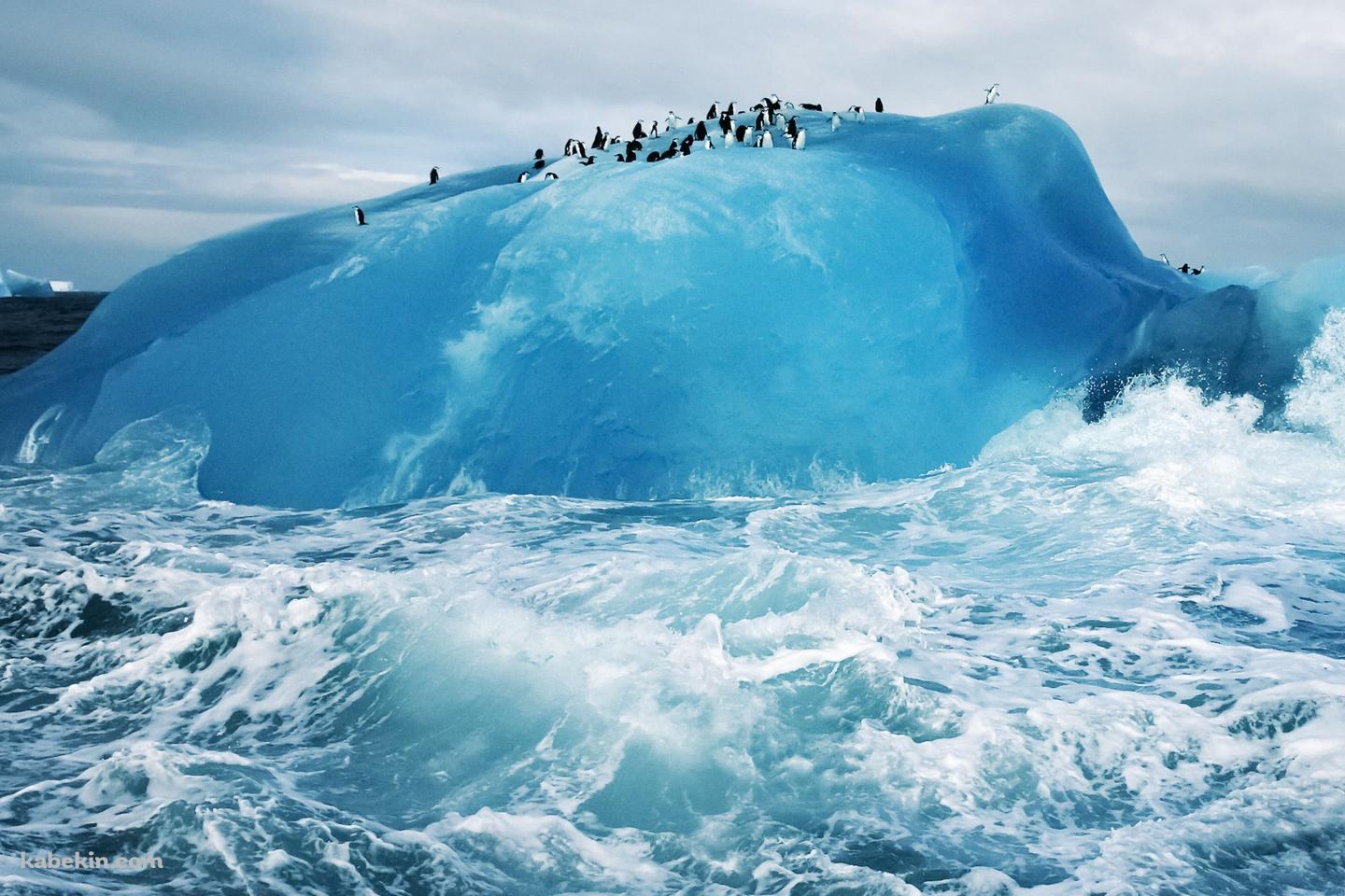 氷とペンギンの壁紙(1440px x 960px) 高画質 PC・デスクトップ用