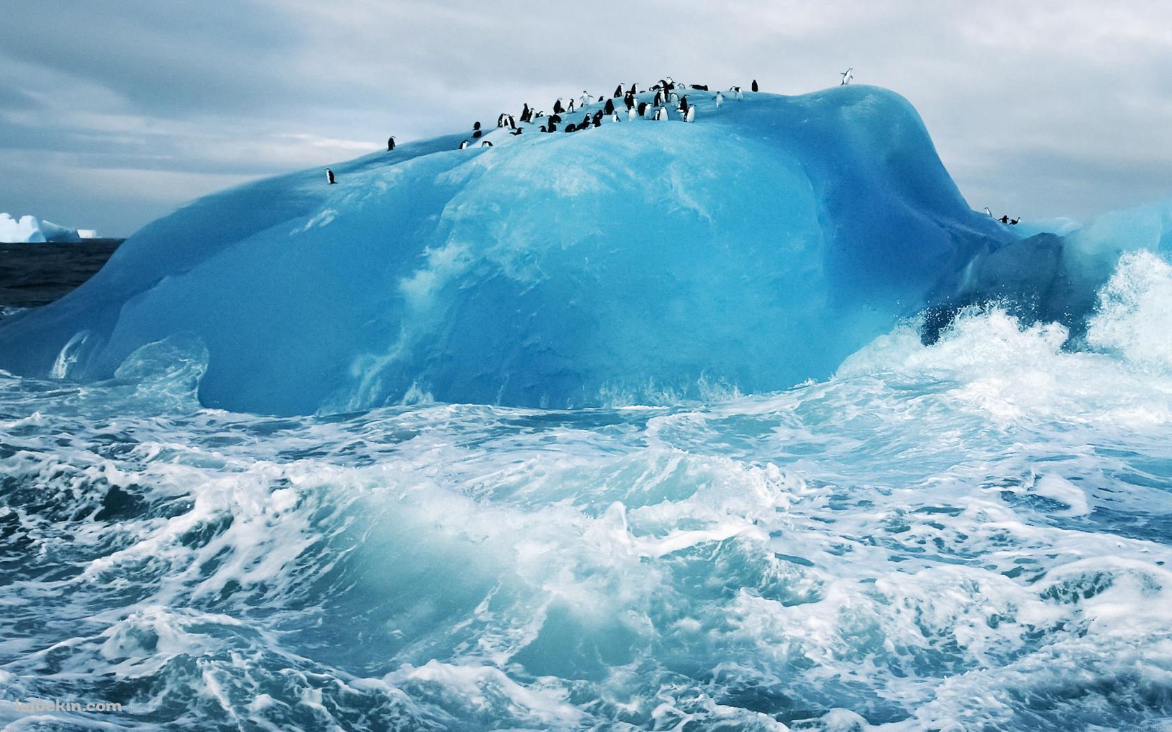 氷とペンギンの壁紙(1680px x 1050px) 高画質 PC・デスクトップ用