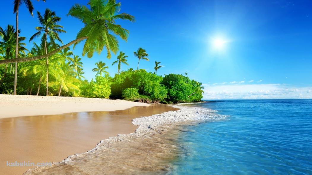 椰子の木とエメラルドな海の壁紙(1051px x 591px) 高画質 PC・デスクトップ用