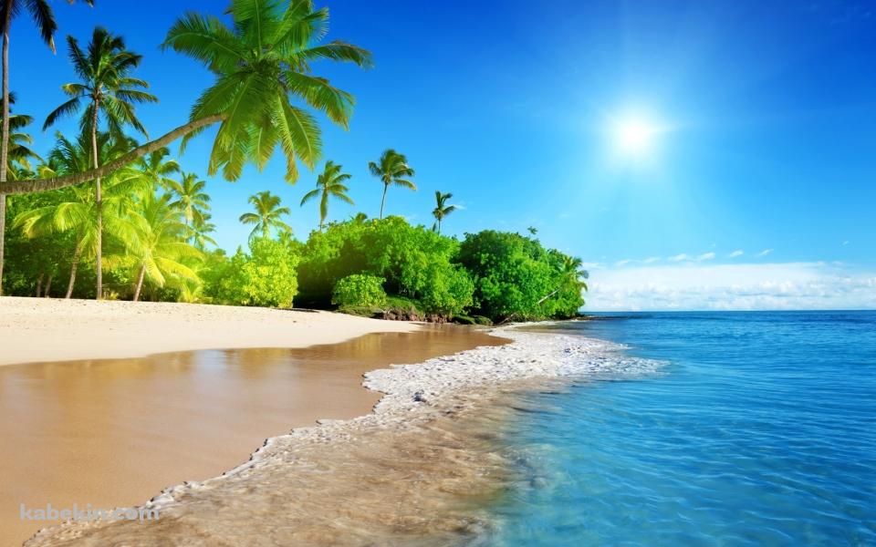 椰子の木とエメラルドな海の壁紙(960px x 600px) 高画質 PC・デスクトップ用