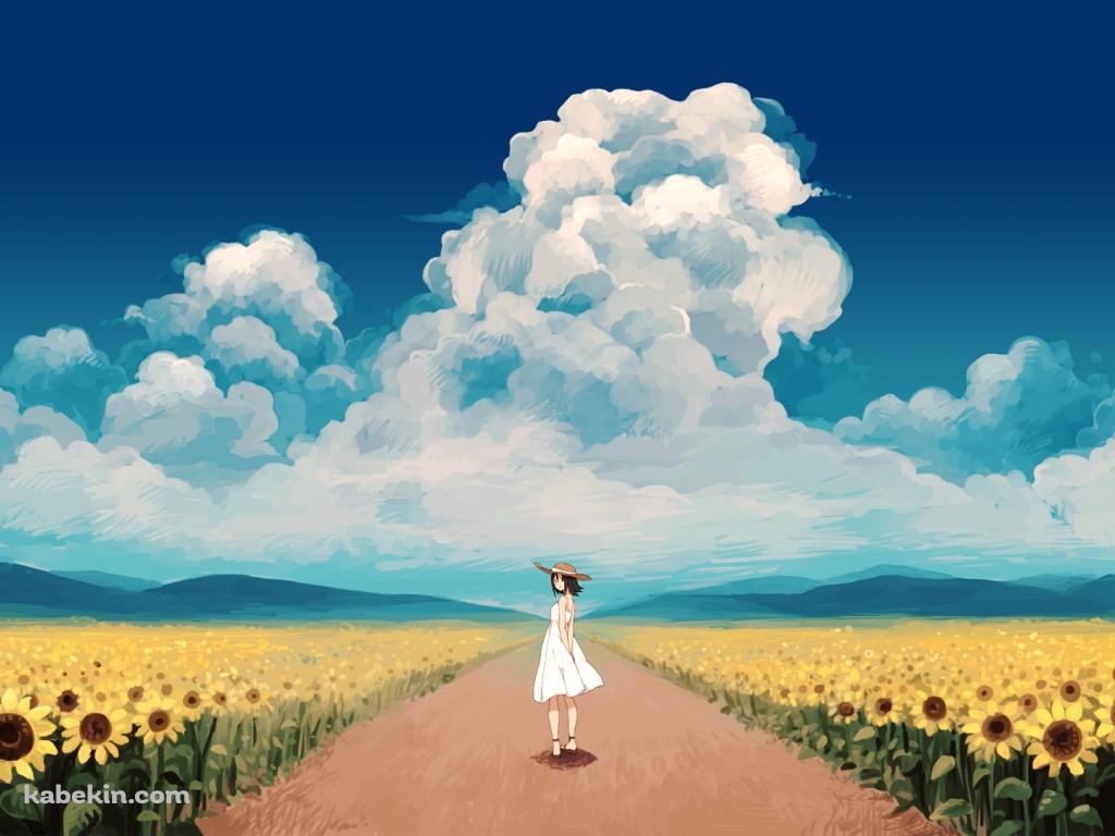 夏 入道雲 女の子 向日葵の壁紙(1024px x 768px) 高画質 PC・デスクトップ用