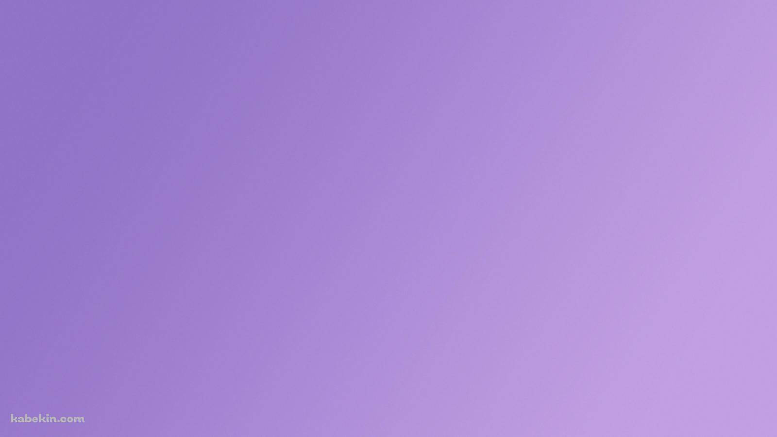 綺麗な紫のグラデーションパターンの壁紙(1600px x 900px) 高画質 PC・デスクトップ用
